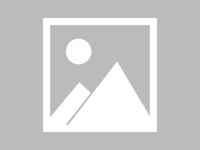 imToken官方网站：数字资产保管工具，用户服务与市场评价是关键？